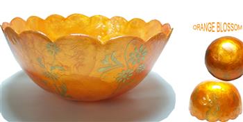 Orange Blossom H10D20.jpg