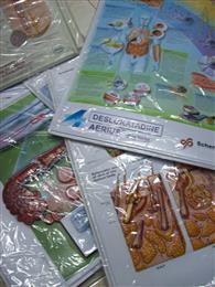 3D Anatomical Chart.JPG