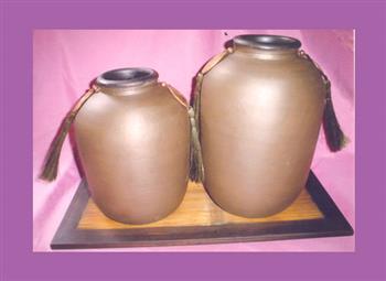 2s Healthy Vases.jpg