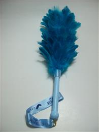 Feather Duster.JPG
