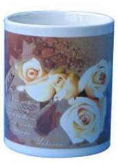 Color Changing Mug.jpg